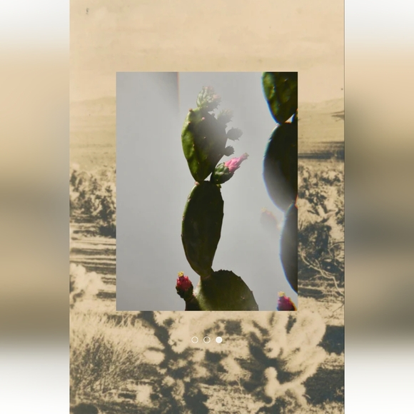 New Twentynine Palms Skincare Mesa Mystic Exfoliating Solution AHA Aloe BHA - Picture 2 of 8